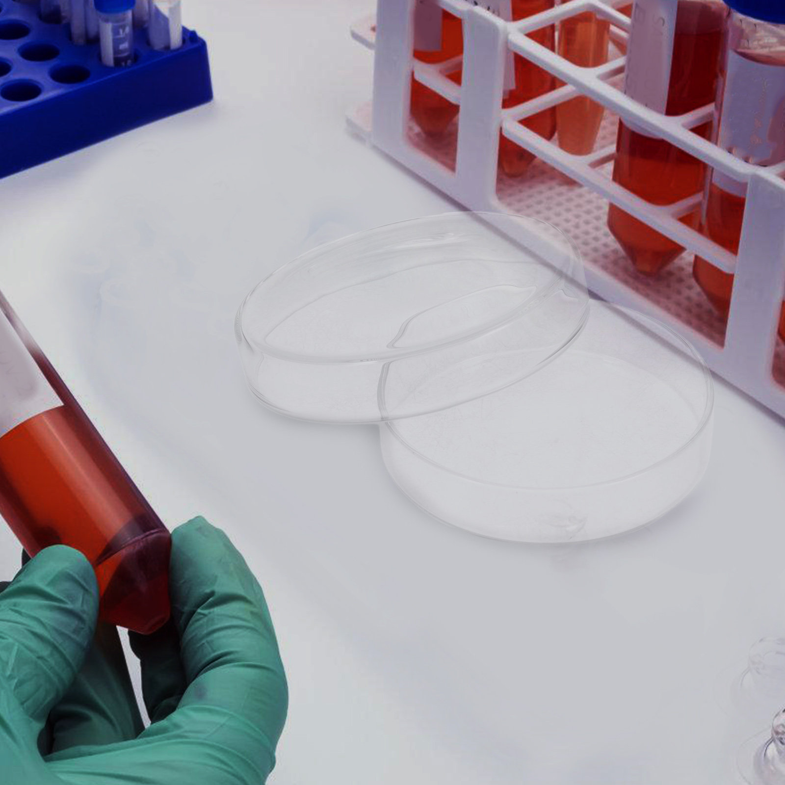 高ホウケイ酸ガラス製ペトリ皿、組織培養プレート、実験室用品、 - Agar Tissue Culture のレビューと価格