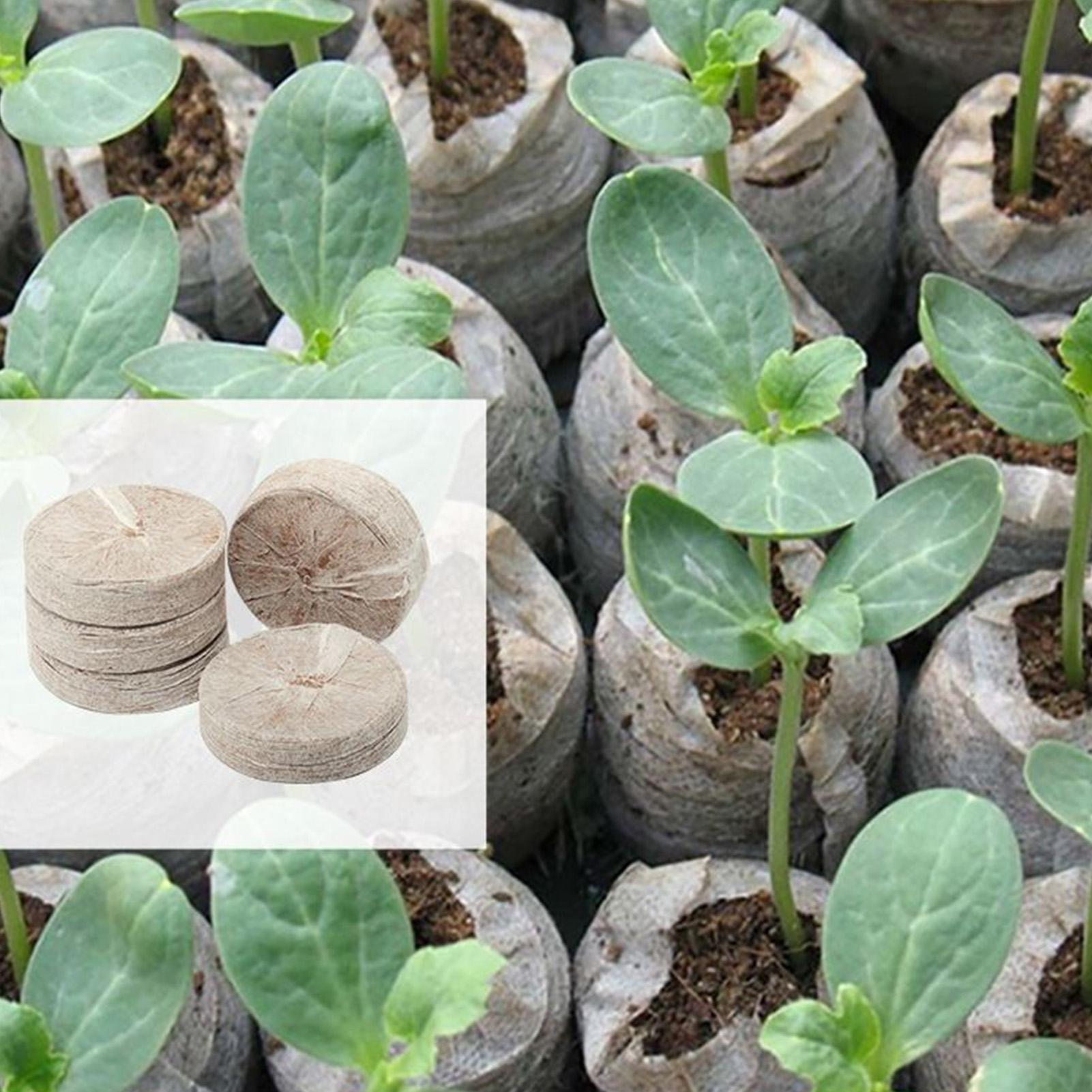 100個入りポッティングミックストレイ30mm土壌ペレット不 - Peat Pellet Tray のレビューと価格