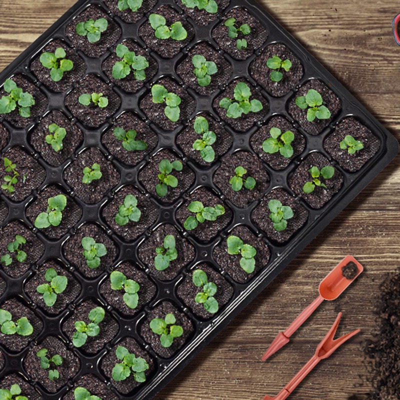Abgh-10パックのスターターシードトレイ、排水穴付き72 - Propagation Tray 72 のレビューと価格