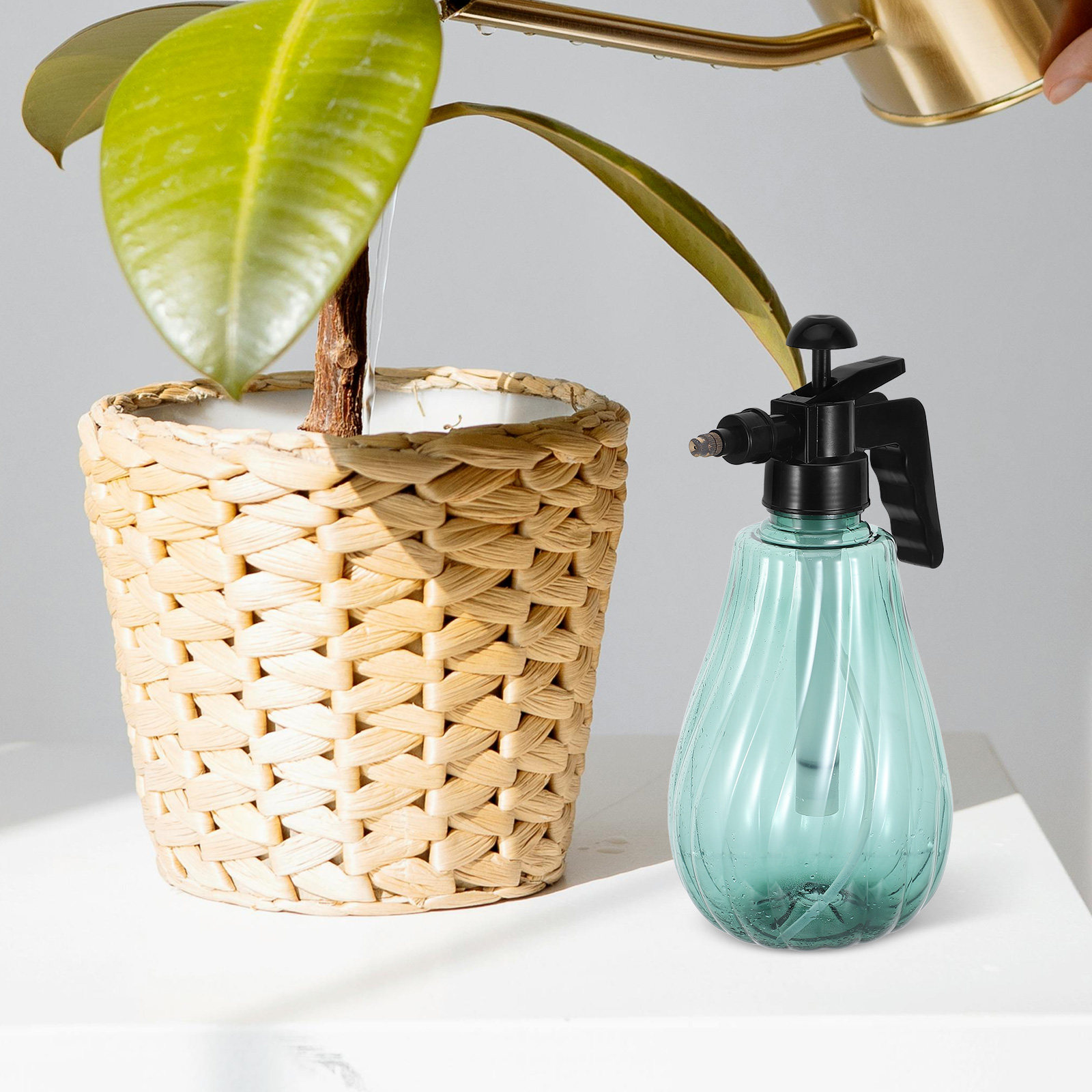手持ち式ガーデンスプレーヤー、グリーンプラスチック製ペット用 - Misting Bottle Fine のレビューと価格