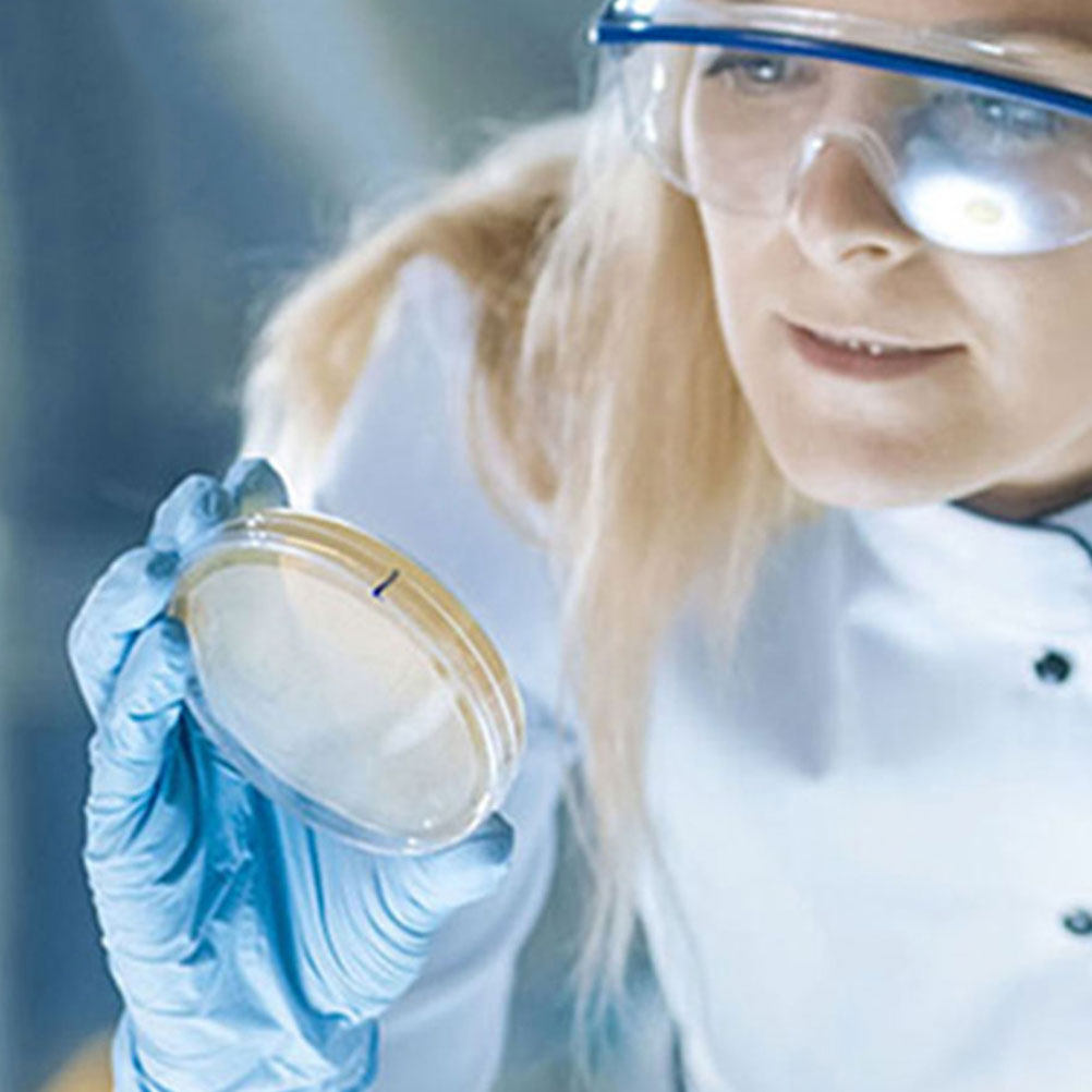 10 個のプラスチックペトリ皿透明クリア 100 ミリメート - Agar Tissue Culture のレビューと価格